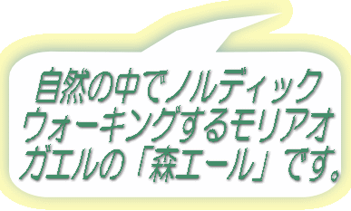 R̒ŃmfBbN EH[LO郂AI KǴuXG[vłB 